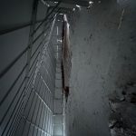 Cavindish farms pei 2025